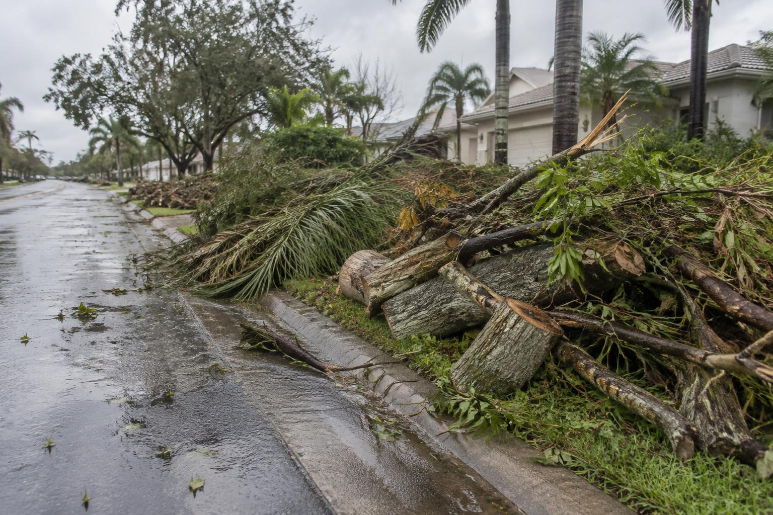 Storm debris piled at a Florida curbside